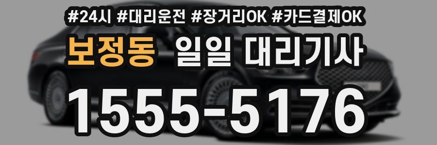 보정동 일일 대리기사