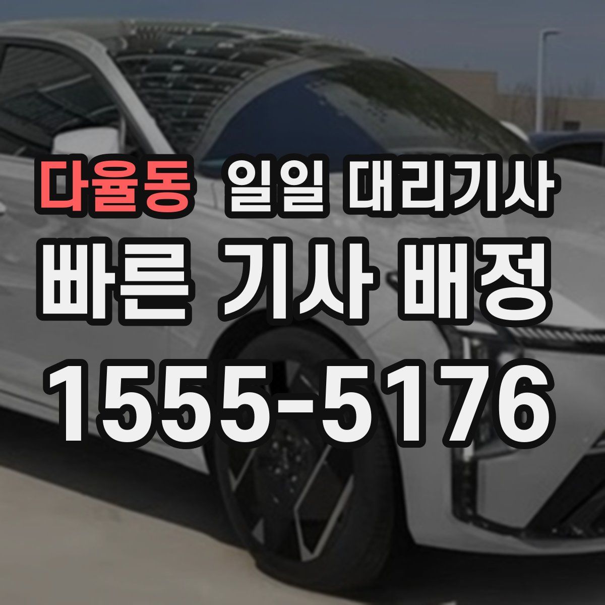 다율동 일일 대리기사
