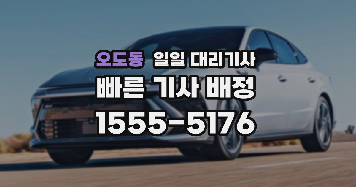 오도동 일일 대리기사