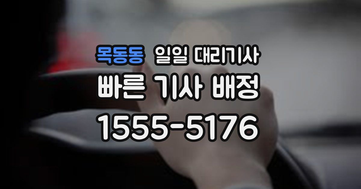 목동동 일일 대리기사