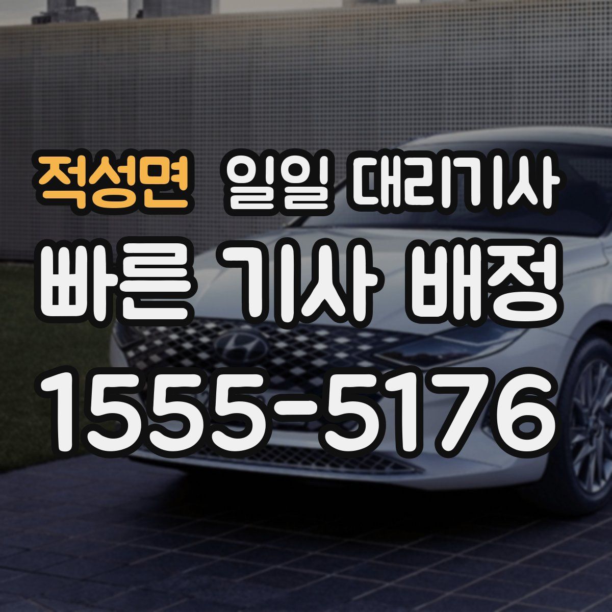 적성면 일일 대리기사