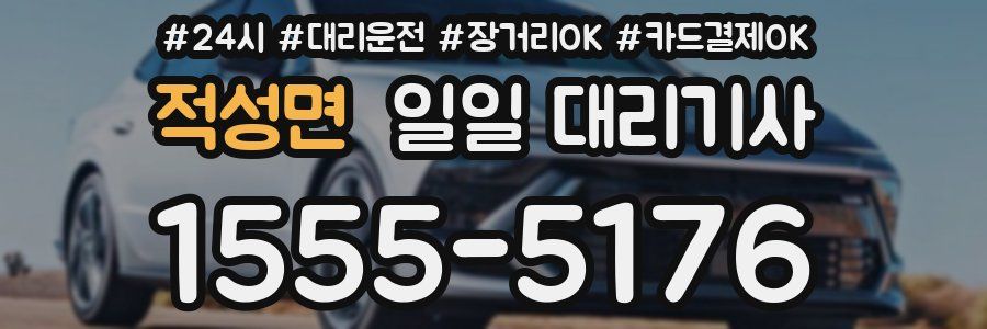 적성면 일일 대리기사
