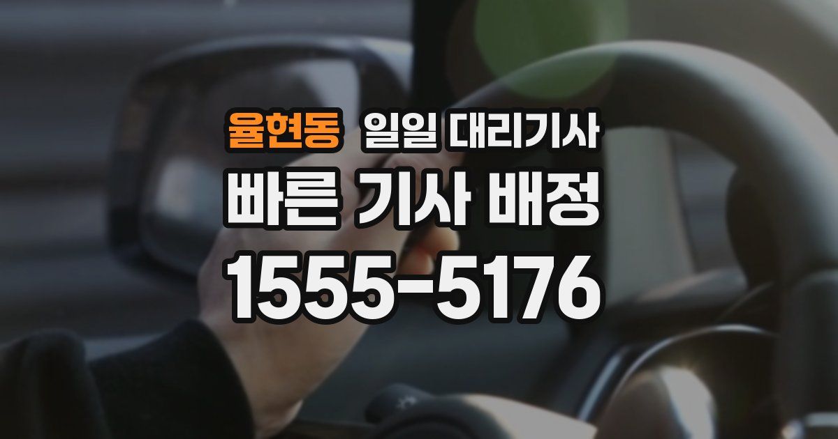 율현동 일일 대리기사
