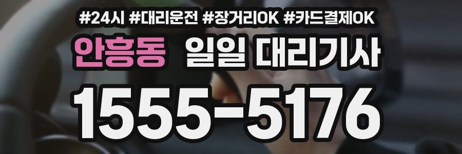 안흥동 일일 대리기사