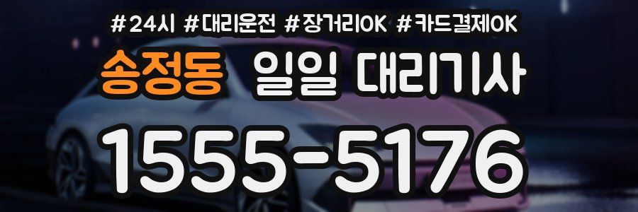 송정동 일일 대리기사