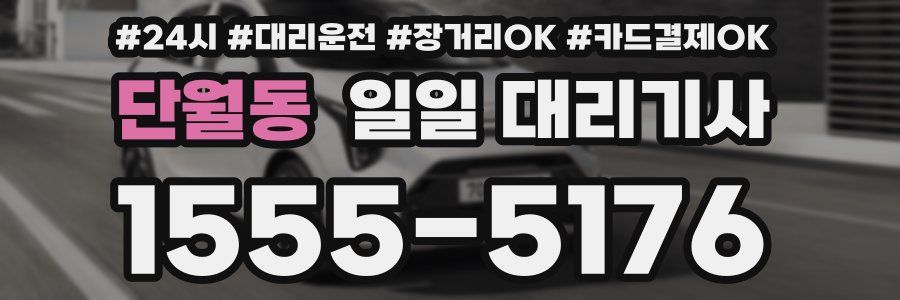 단월동 일일 대리기사