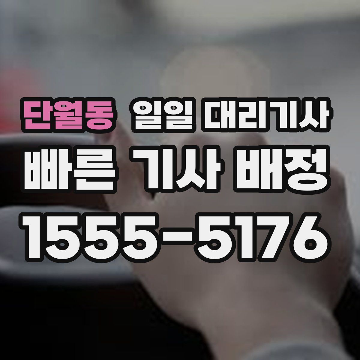 단월동 일일 대리기사