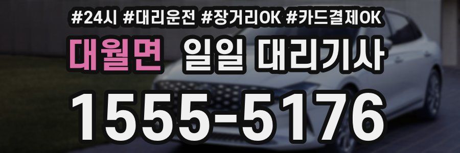 대월면 일일 대리기사