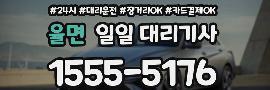 율면 일일 대리기사
