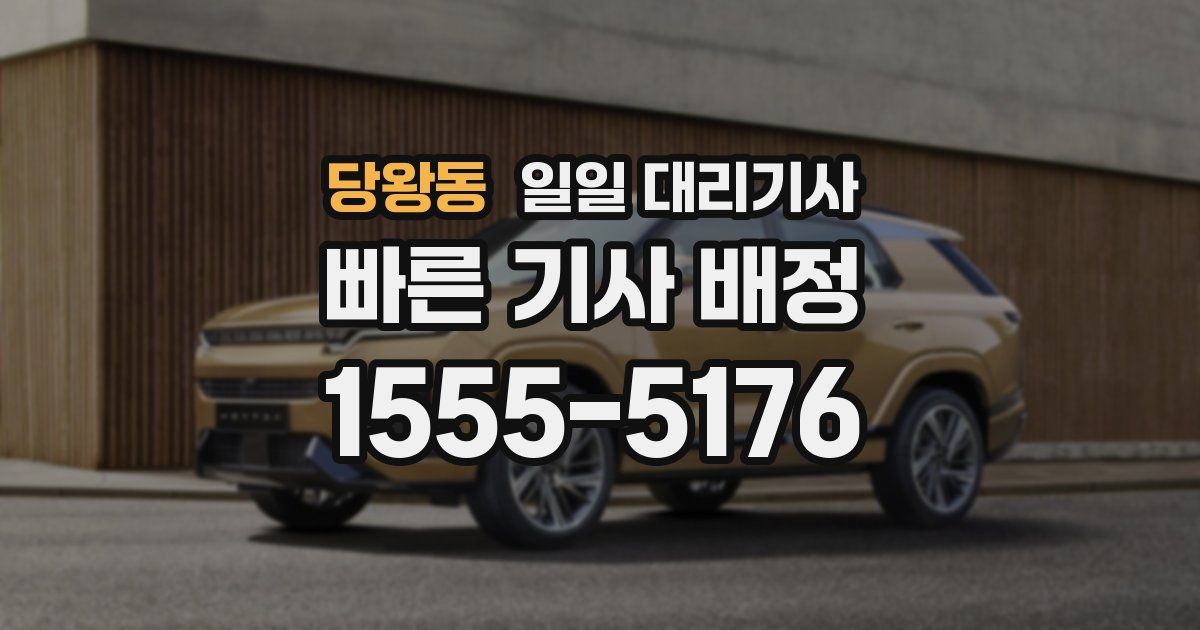 당왕동 일일 대리기사