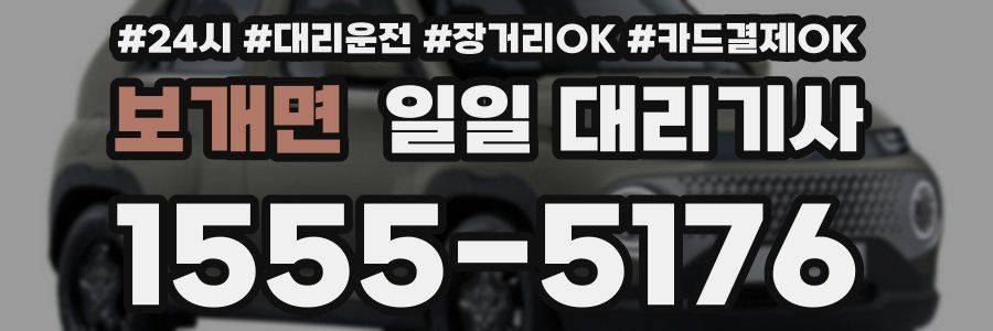 보개면 일일 대리기사