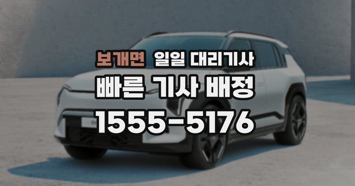 보개면 일일 대리기사