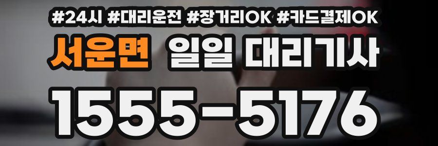 서운면 일일 대리기사