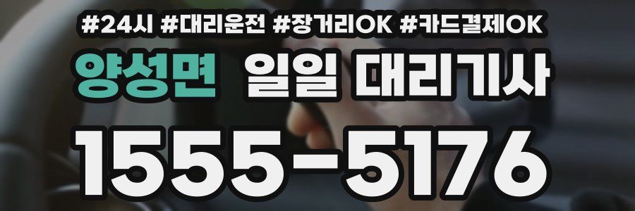 양성면 일일 대리기사
