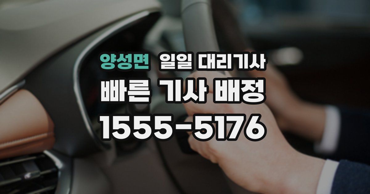 양성면 일일 대리기사