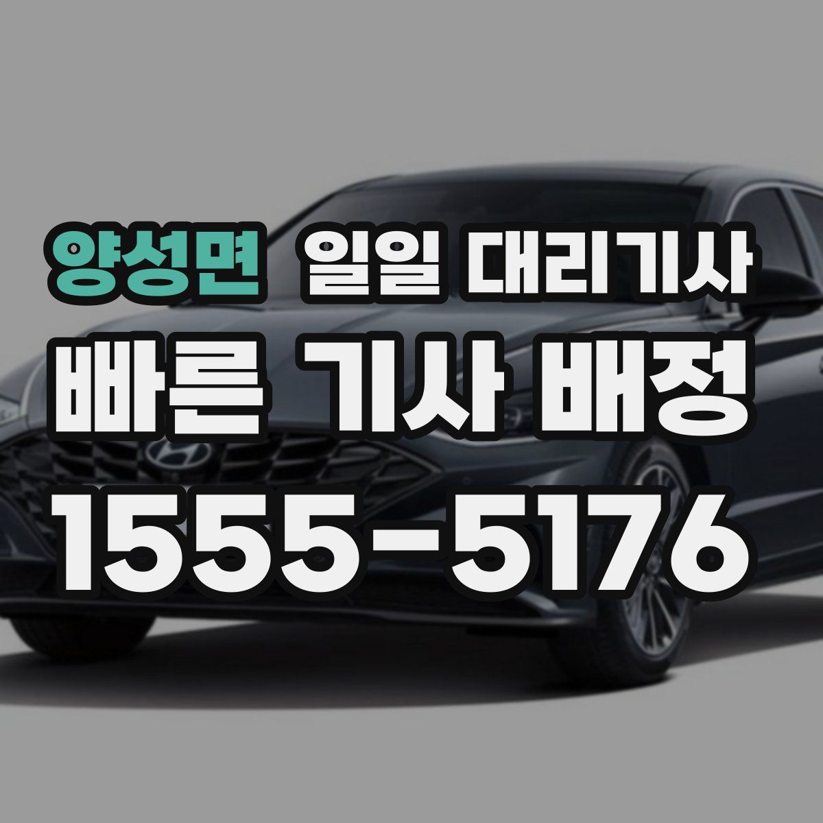양성면 일일 대리기사