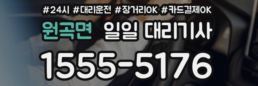 원곡면 일일 대리기사