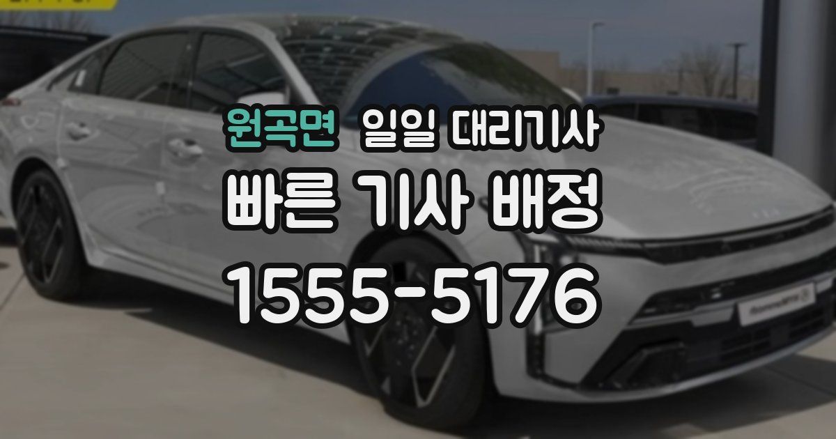 원곡면 일일 대리기사
