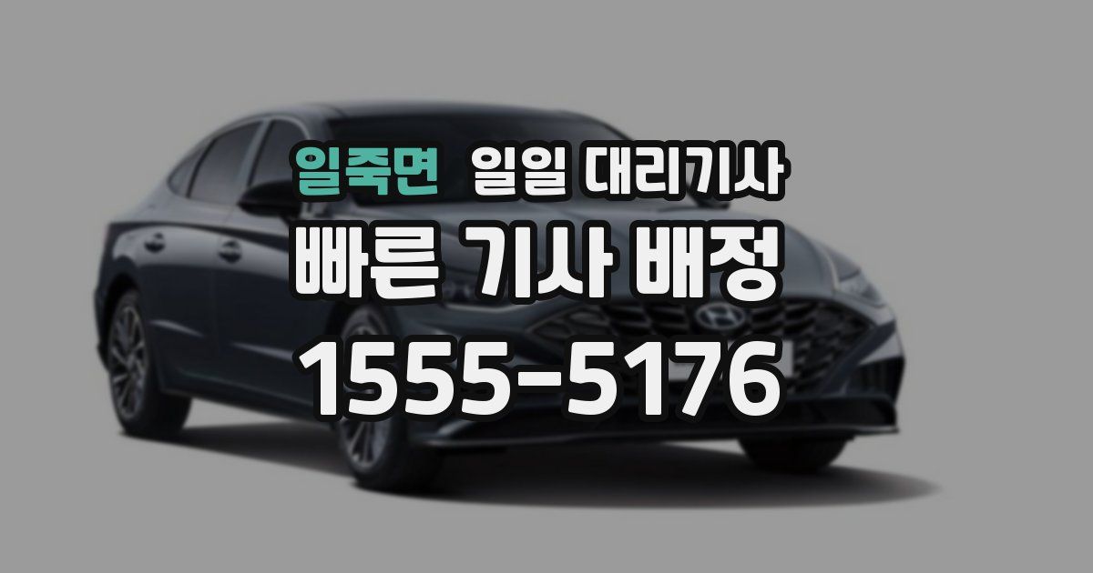 일죽면 일일 대리기사