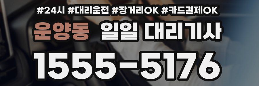 운양동 일일 대리기사