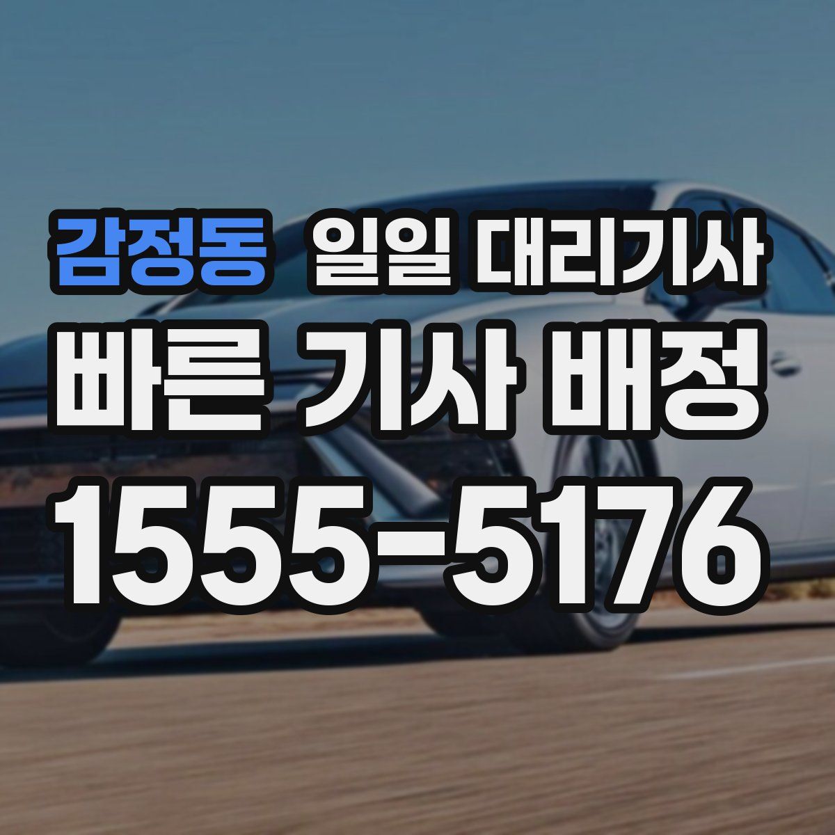 감정동 일일 대리기사