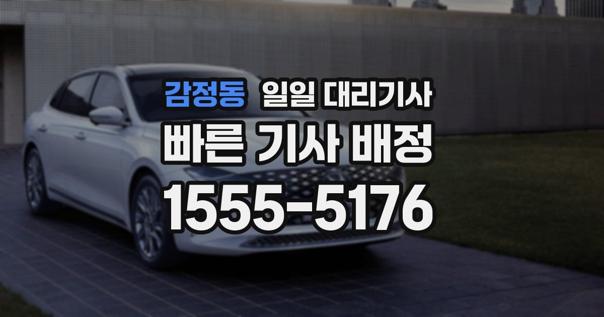 감정동 일일 대리기사