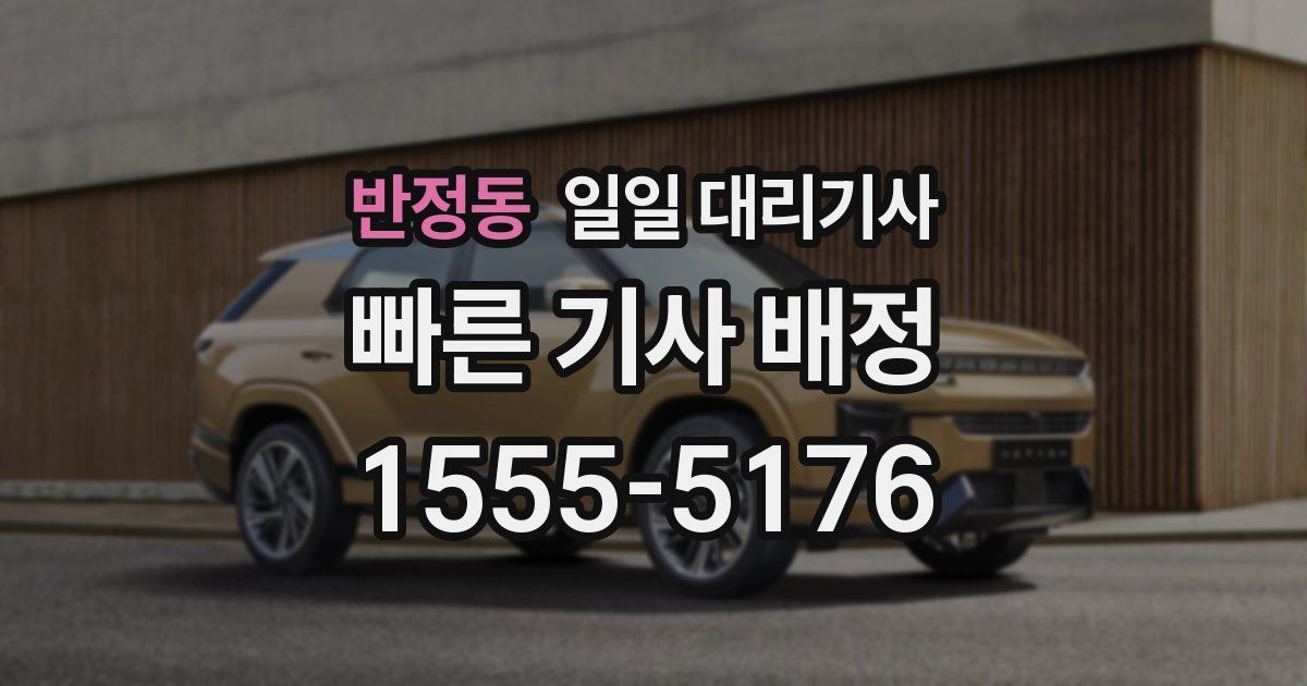 반정동 일일 대리기사