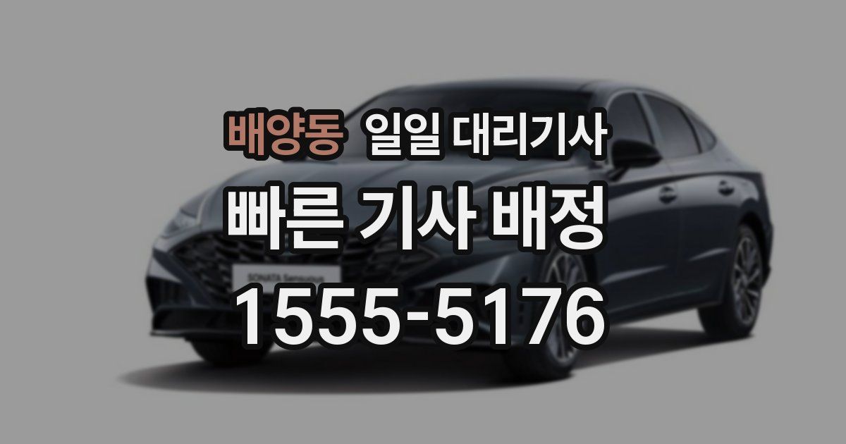 배양동 일일 대리기사