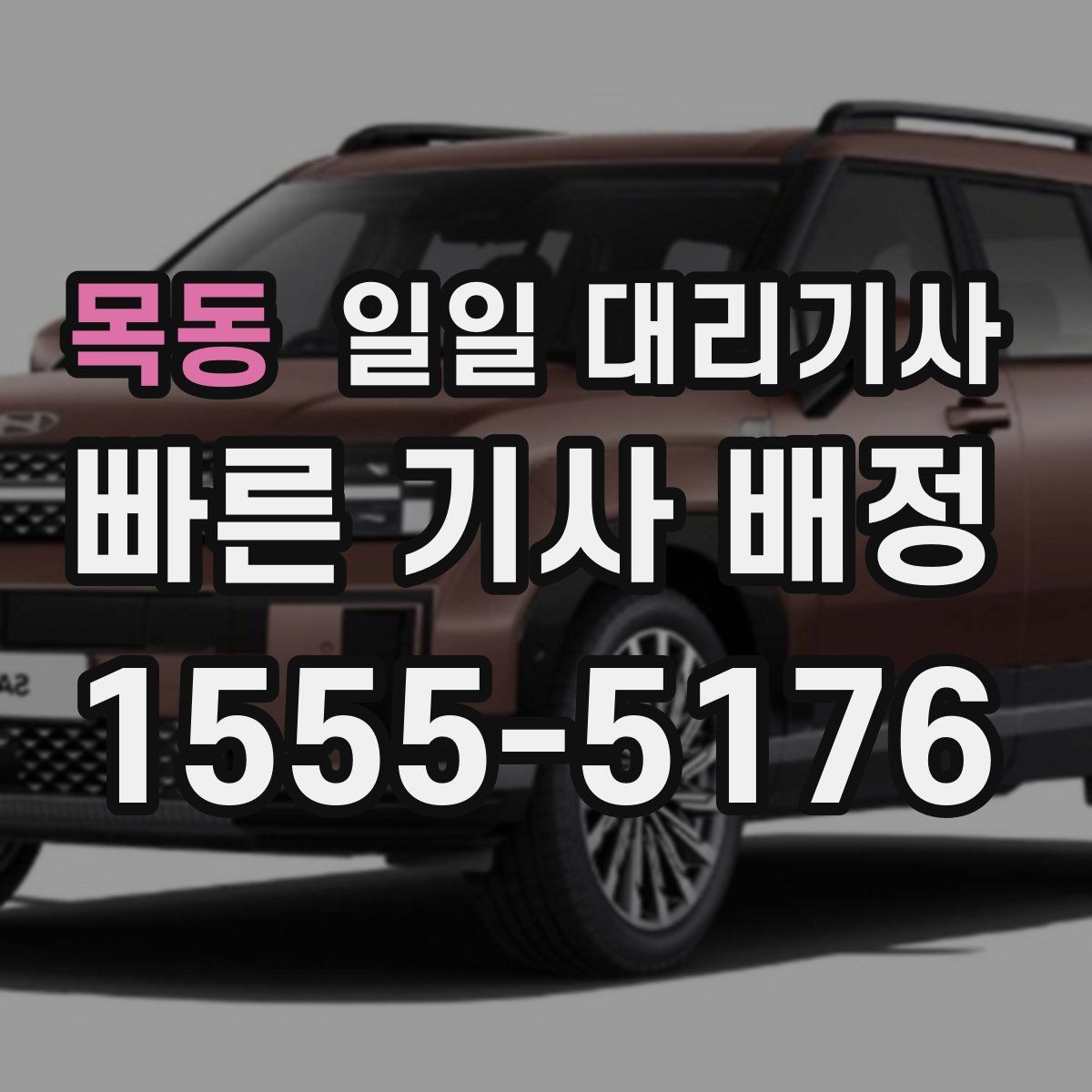 목동 일일 대리기사