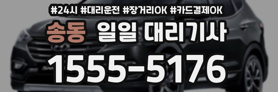 송동 일일 대리기사