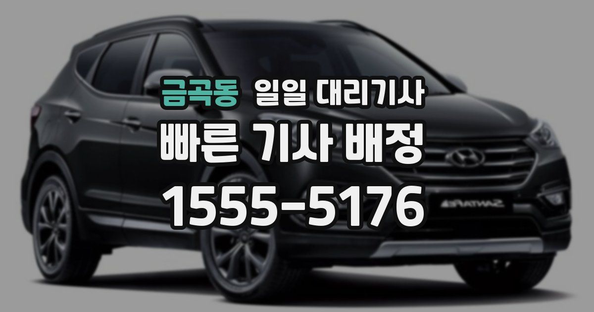 금곡동 일일 대리기사