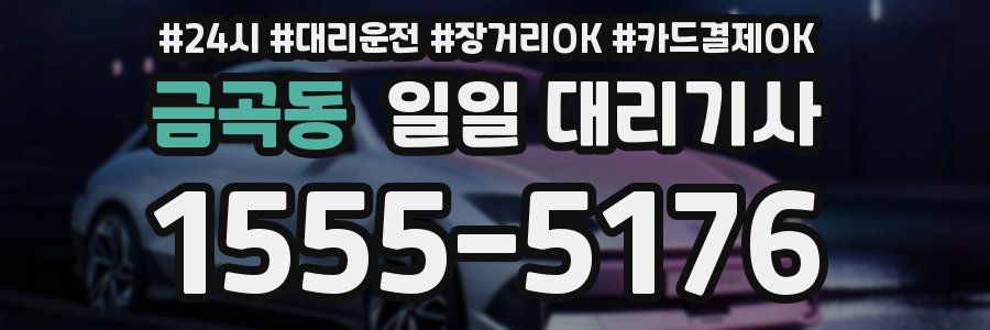 금곡동 일일 대리기사