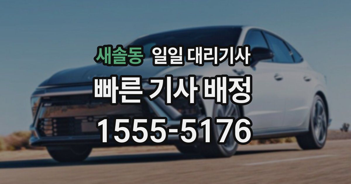 새솔동 일일 대리기사