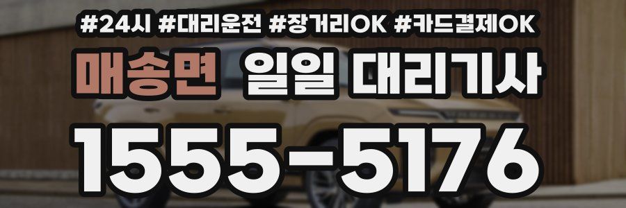 매송면 일일 대리기사
