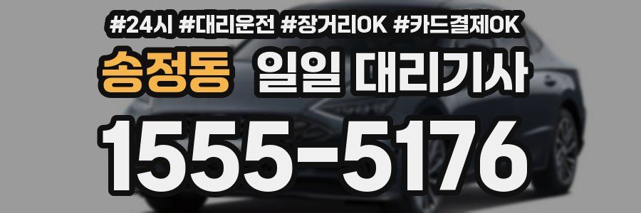 송정동 일일 대리기사