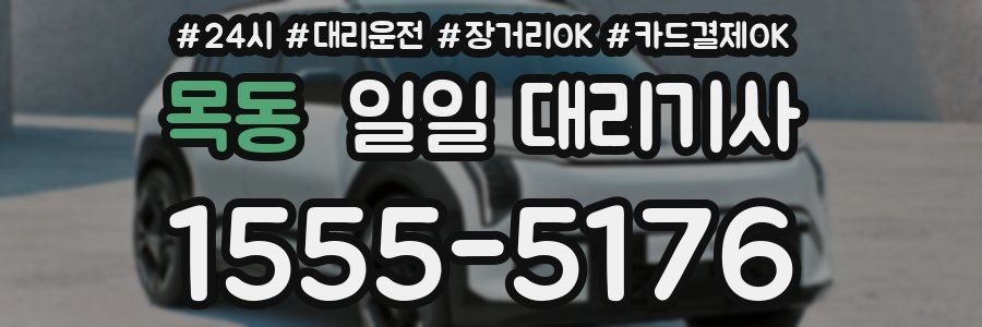 목동 일일 대리기사