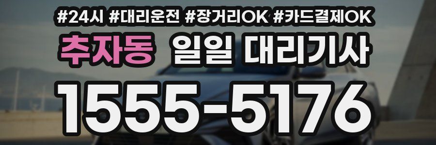 추자동 일일 대리기사
