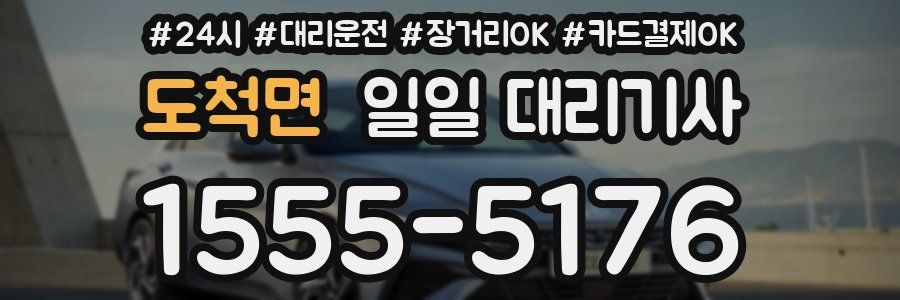 도척면 일일 대리기사