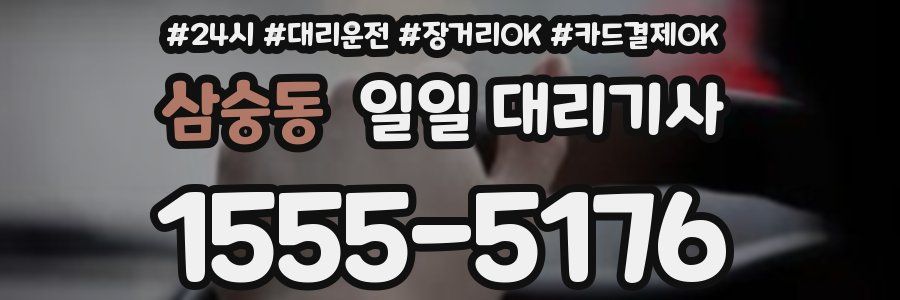 삼숭동 일일 대리기사