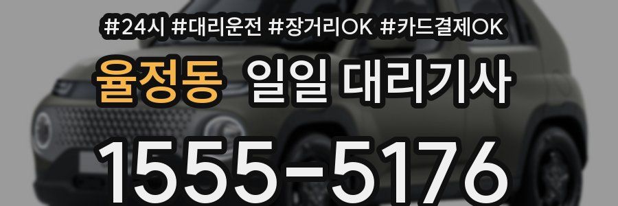 율정동 일일 대리기사