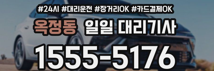 옥정동 일일 대리기사