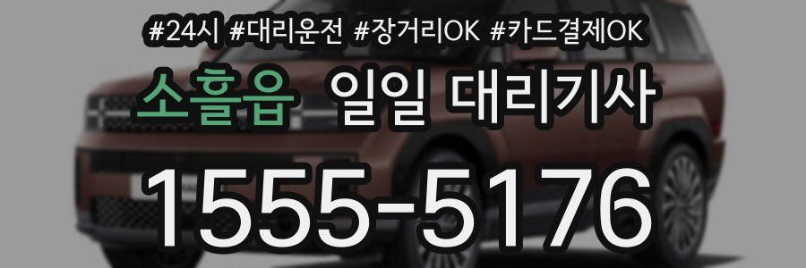 소흘읍 일일 대리기사