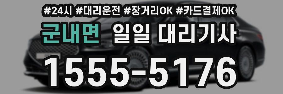 군내면 일일 대리기사