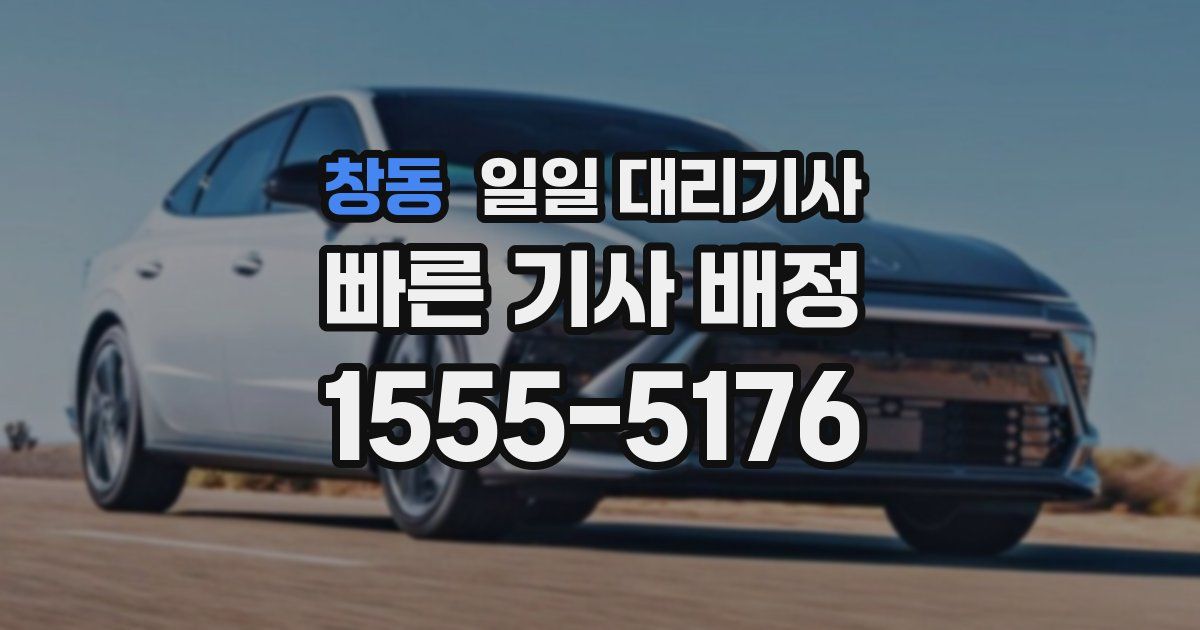 창동 일일 대리기사