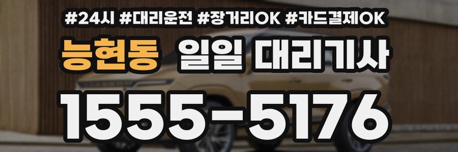 능현동 일일 대리기사