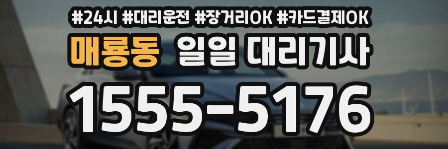 매룡동 일일 대리기사