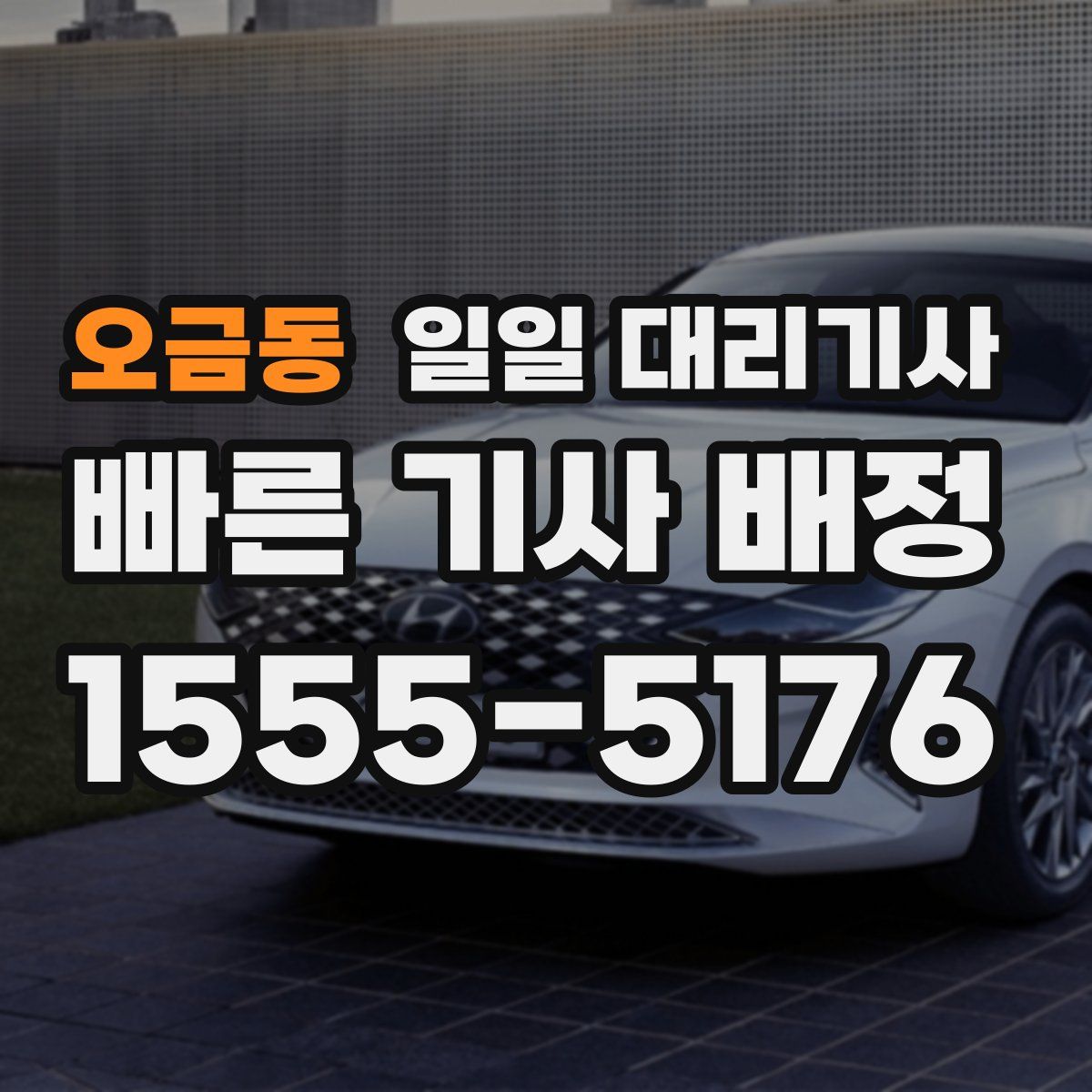 오금동 일일 대리기사