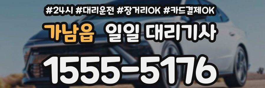 가남읍 일일 대리기사