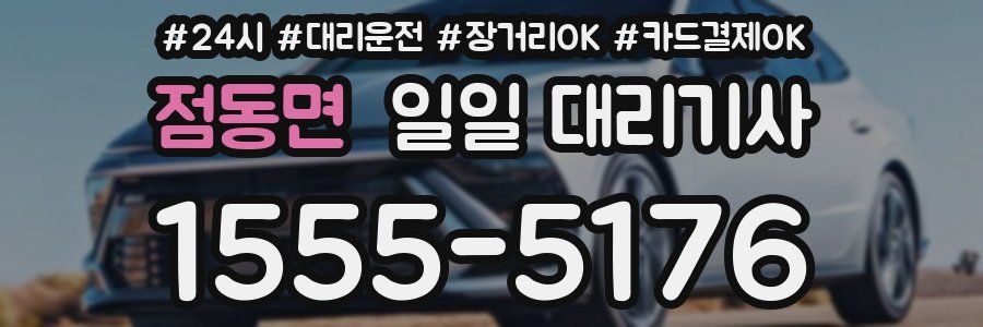 점동면 일일 대리기사