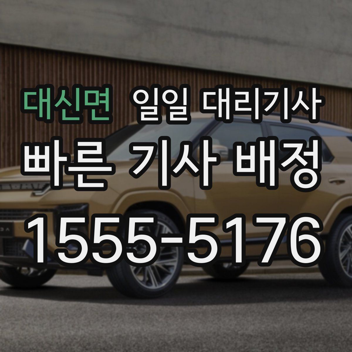 대신면 일일 대리기사